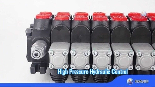 วาล์วควบคุมส่วน DCV60